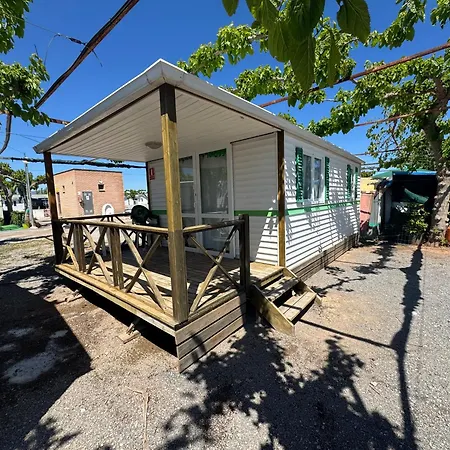Camping Los Naranjos Moncofar Exterior photo