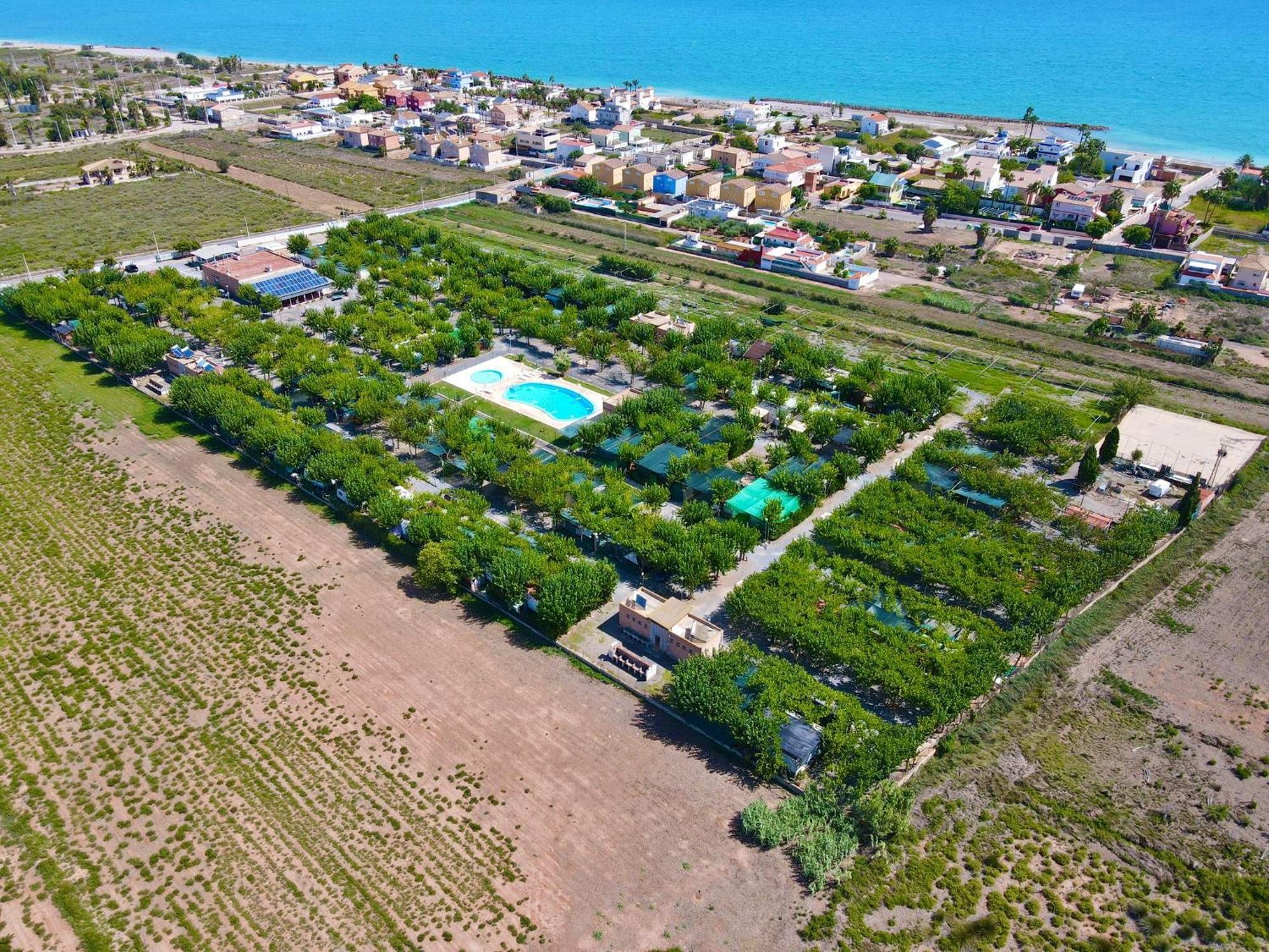 Naranjos
