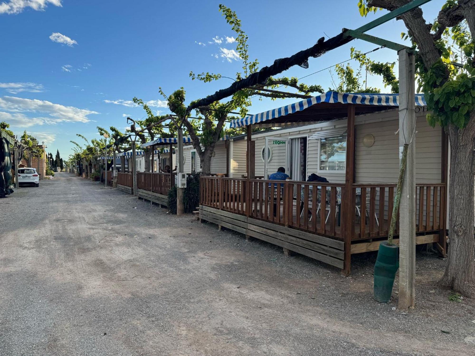 Naranjos Parque de Campismo Moncófar